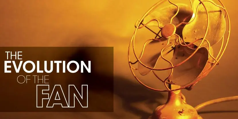 Image of fan with text: "The Evolution of the Fan"